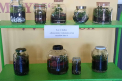 att.p2U9xA_ySgePRpRfUIFVKDziEmW5A2NX9yCsF5U9bEs