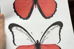 IMG_3946
