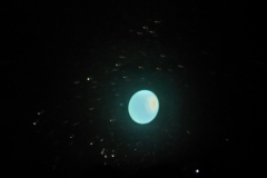 20230306_103727