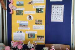 IMG_20251006_080648