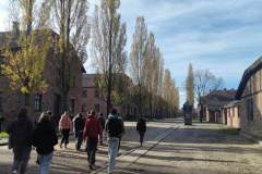 IMG_20251030_085115