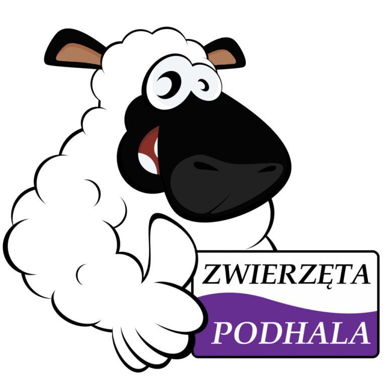 Światowy Dzień Zwierząt